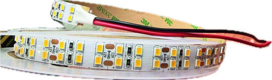 240P 12V/24V ستریب لید مجوز 3000K-4000K-6500K